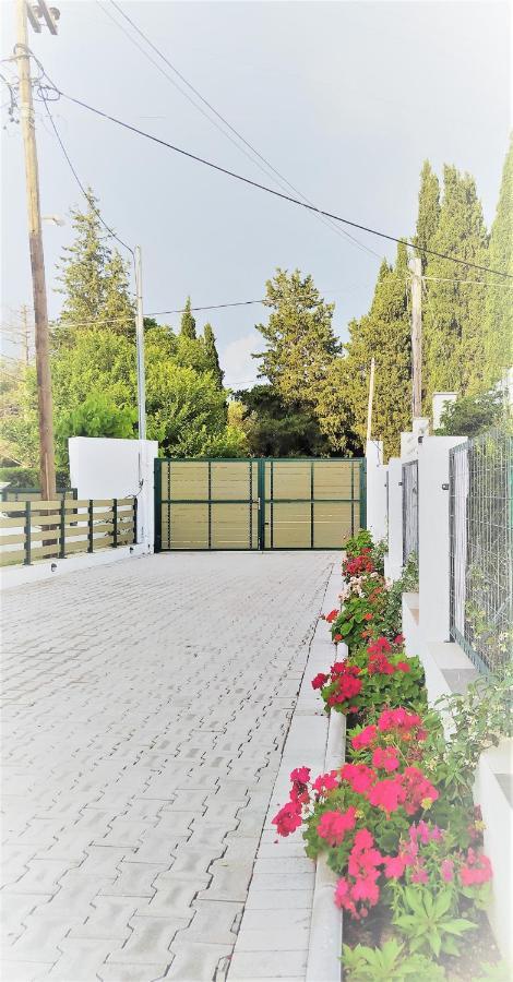 Tatil Evi Vaggelis *